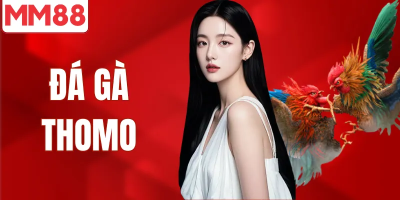 Sảnh đá gà thomo được ưa thích nhất trong các sảnh đá gà