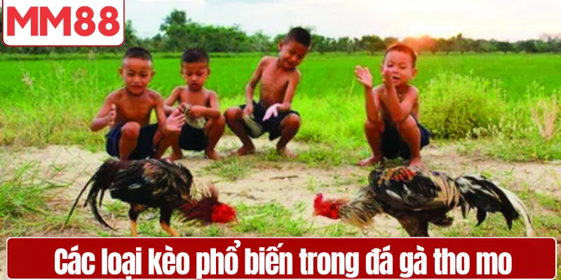 Các loại kèo phổ biến trong đá gà tho mo cho người chơi